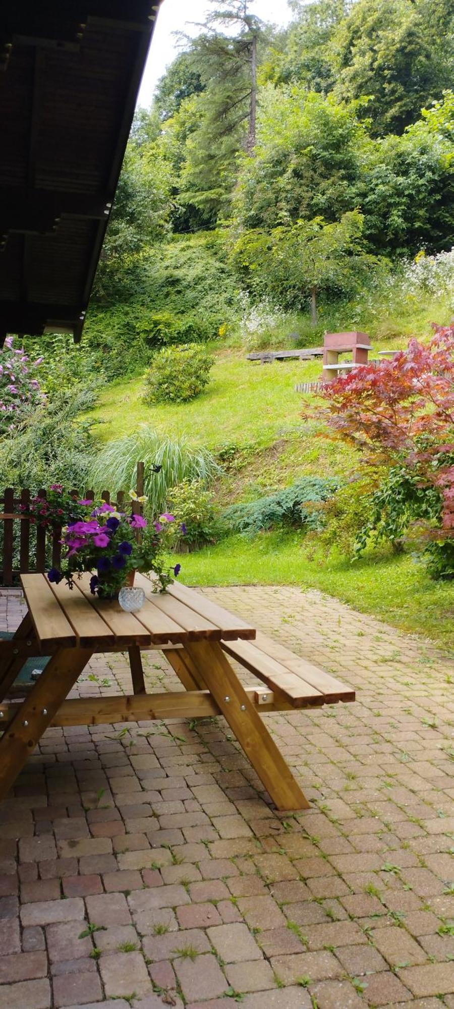Chalet Au Bois Des Ecureuils Classe Trois Etoiles. Muhlbach-sur-Munster Exteriér fotografie