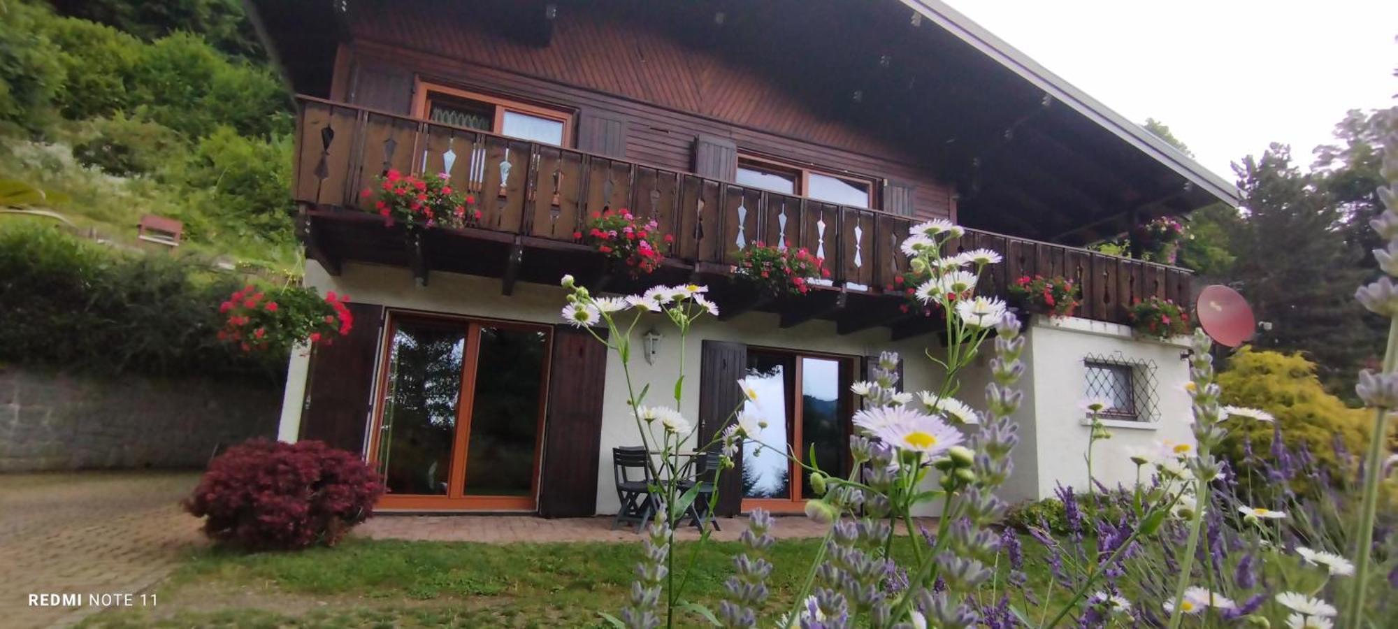 Chalet Au Bois Des Ecureuils Classe Trois Etoiles. Muhlbach-sur-Munster Exteriér fotografie